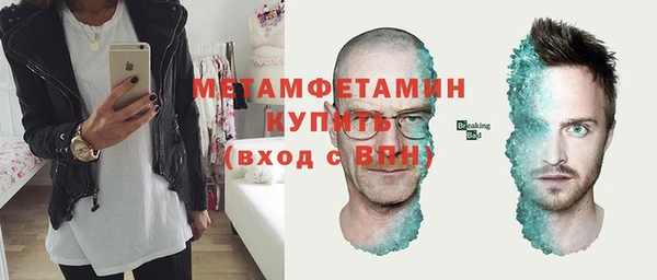 прущие грибы Аркадак
