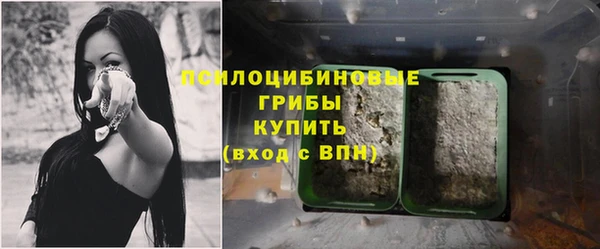дурь Рославль