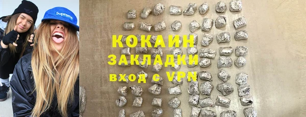 прущие грибы Аркадак