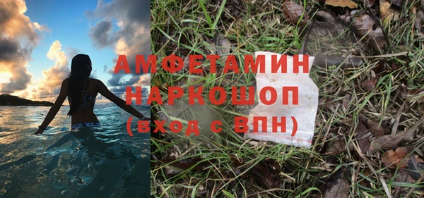 прущие грибы Аркадак