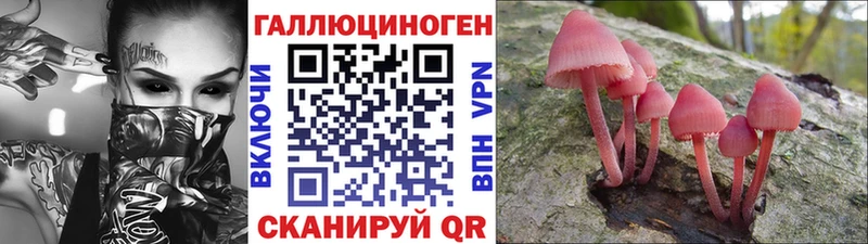купить  цена  Сердобск  Псилоцибиновые грибы мицелий 